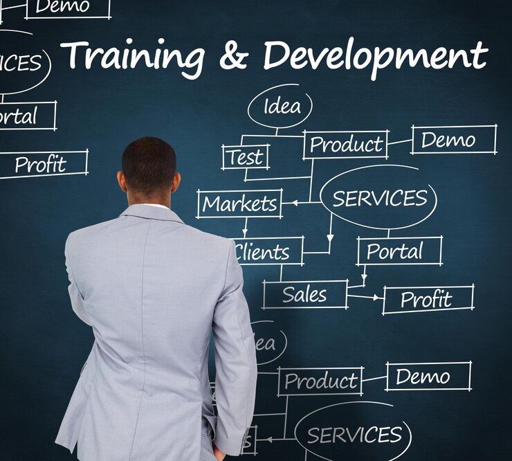 The Career Path of a C# Developer: From Beginner to Expert